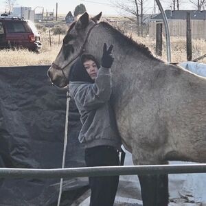 Meet your Posher, Lorenzo
